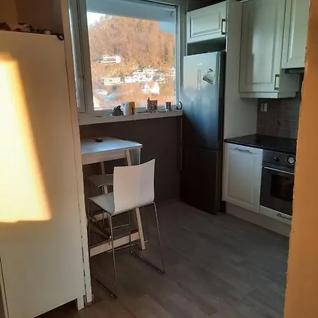 Nydelig Leilighet, Free Parking Near Sentrum Apartment